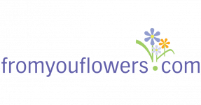 20% Discount on Your Entire Order