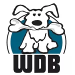 20% Discount on Your Order