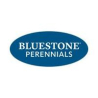 Bluestone Perennials