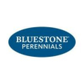 Bluestone Perennials