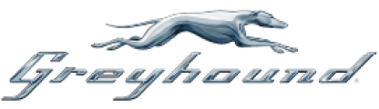 Greyhound